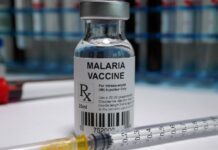 Vacina brasileira contra malária: Anvisa autoriza testes em humanos embalagens de Vivaxin, vacina brasileira contra malária