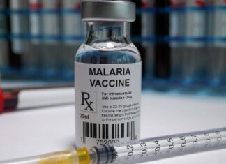 Vacina brasileira contra malária: Anvisa autoriza testes em humanos embalagens de Vivaxin, vacina brasileira contra malária